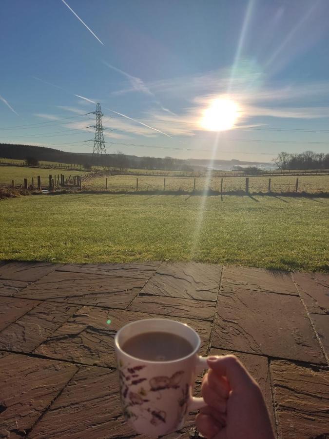 Thistle Pod Farm Stay With Hottub Sleeps 2 Galston  Exterior foto